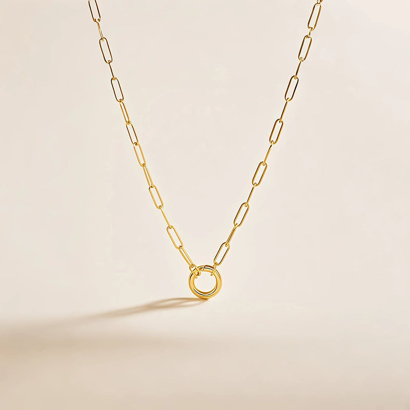 14k gold paperclip necklace with circle pendant on alpine oat background – minimalist daily jewelry