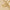 close-up of gold snake chain necklace – 14k gold plated copper with smooth reflective finish
